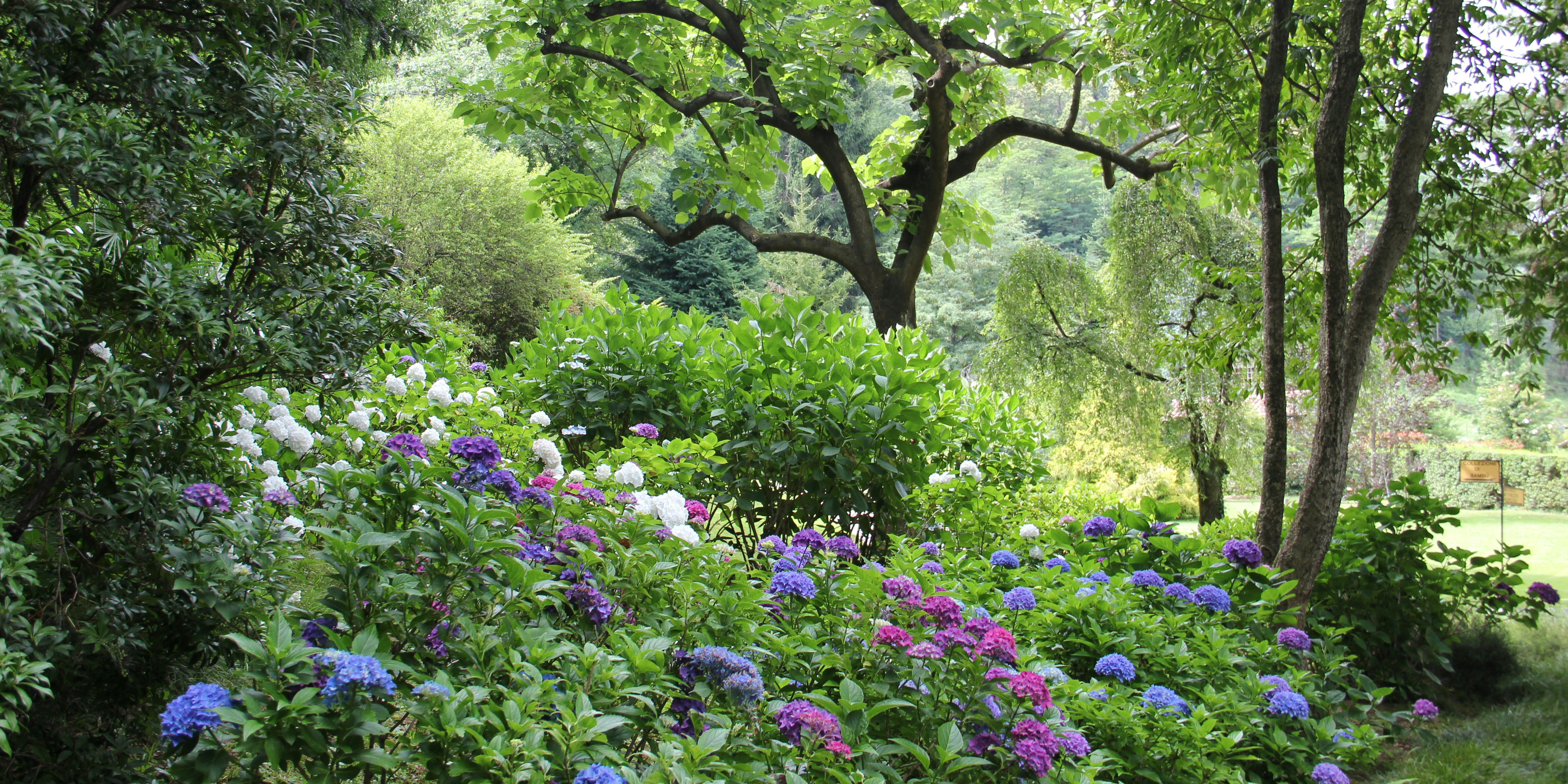 Tuin aan Huis onderweg