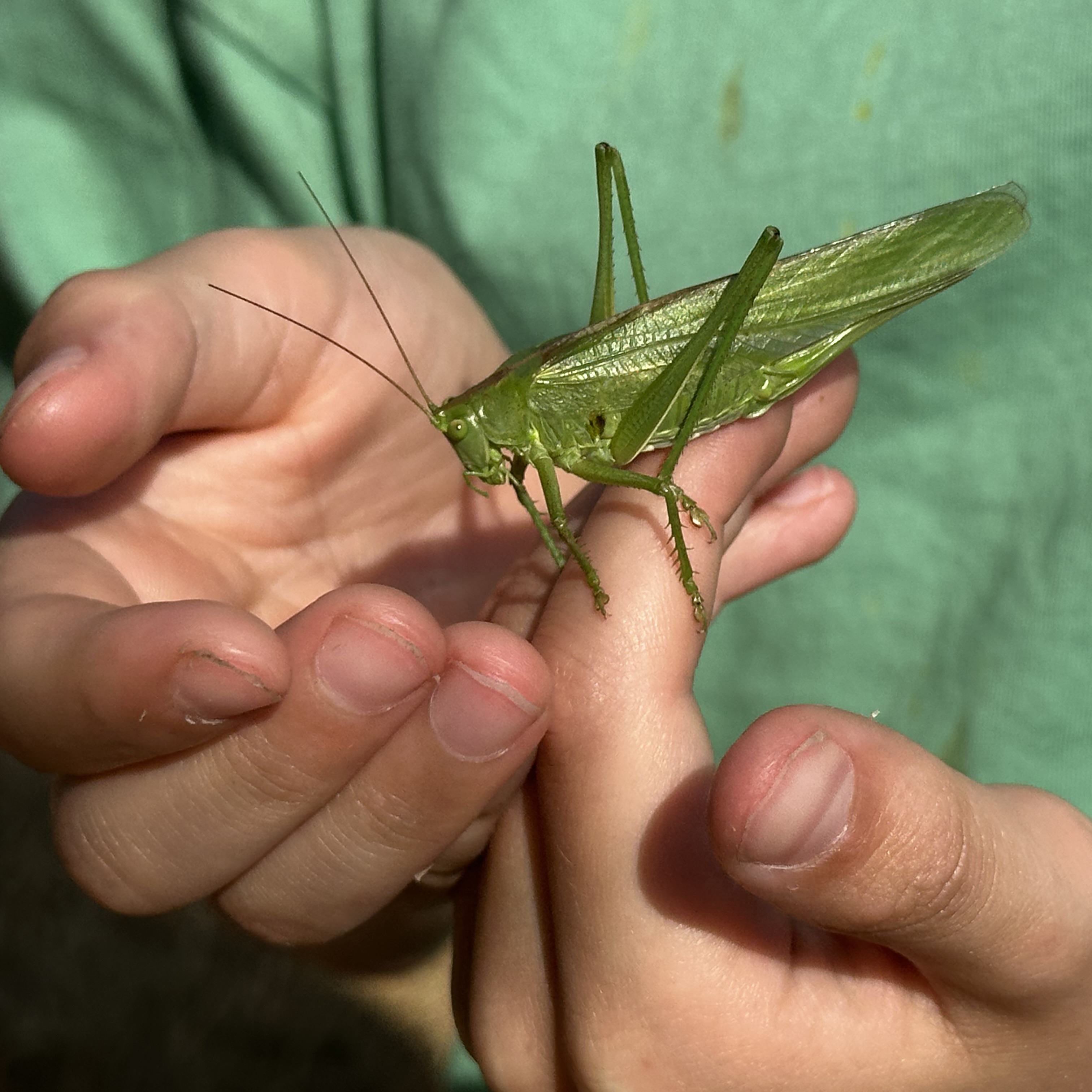 Samen ontdekken in de tuin