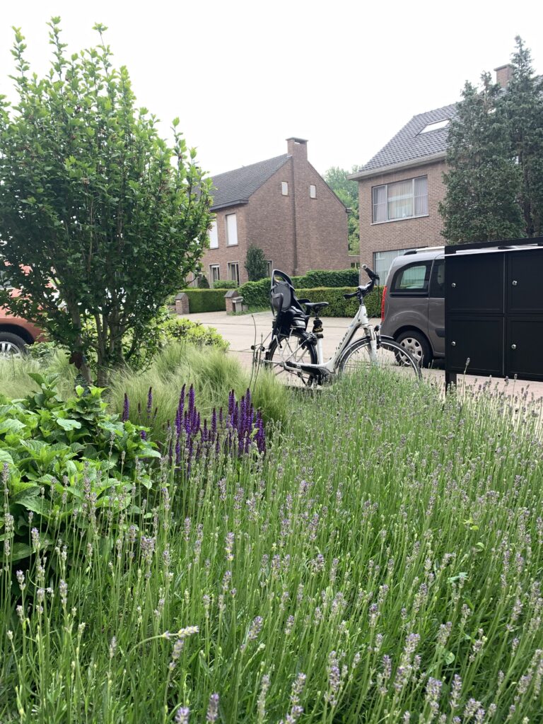 Tuin renovatie Brasschaat